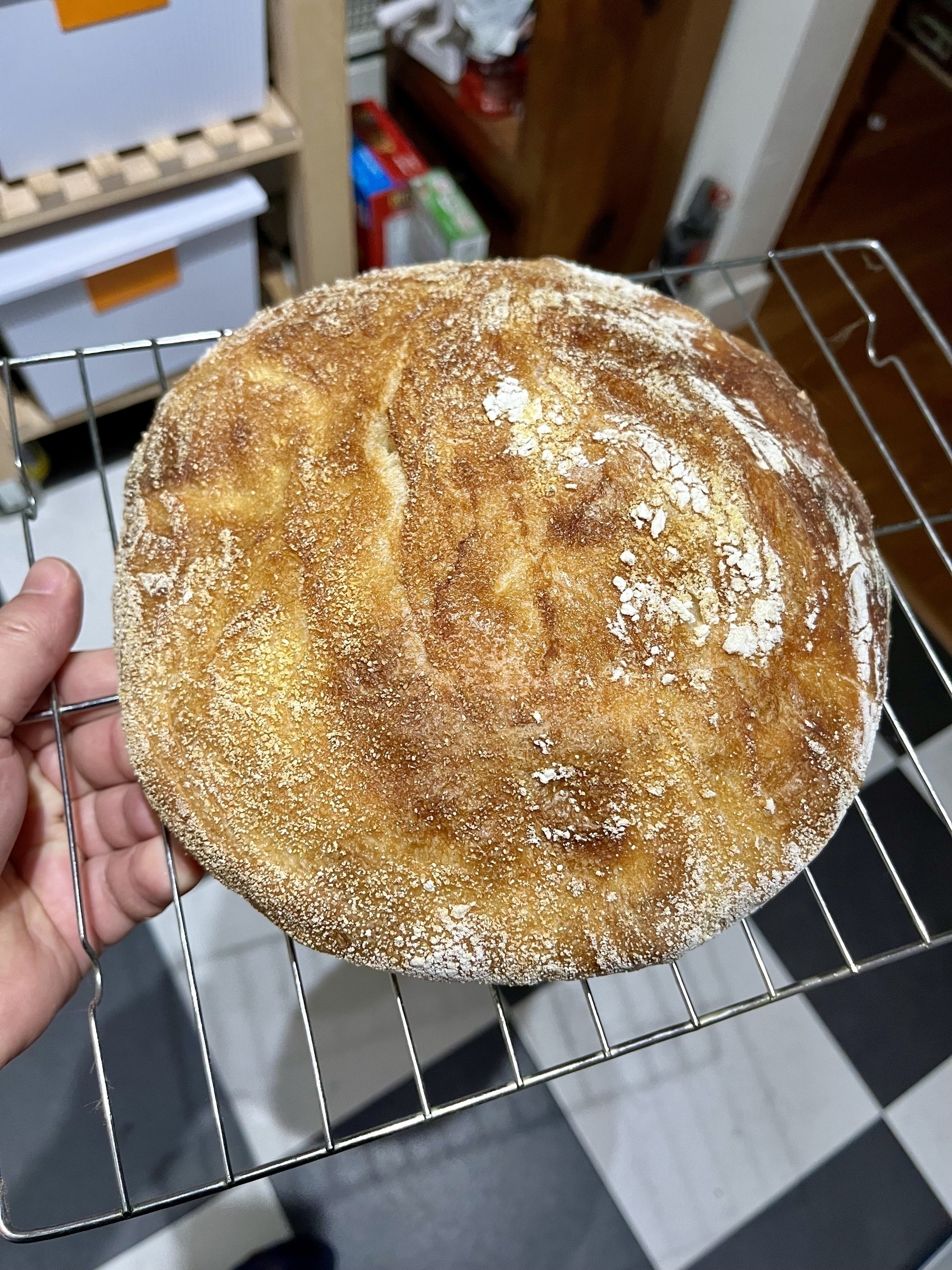 Round golden loaf fresh out of the oven on a wire rack